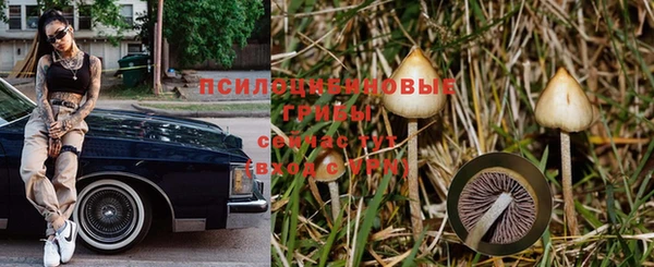 меф Заволжск