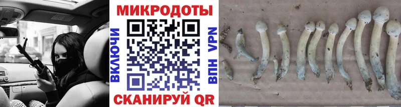 Купить где  Балабаново  Псилоцибиновые грибы мицелий 